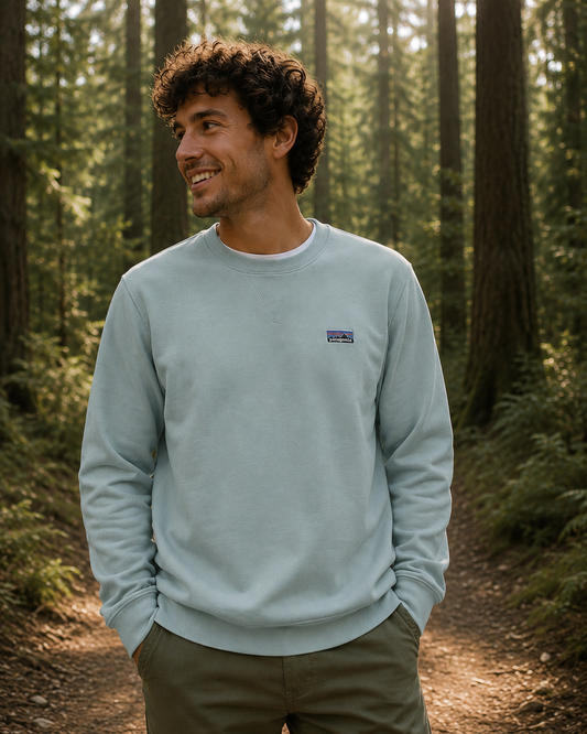 Polerón Unisex Daily Crewneck Sweatshirt Patagonia