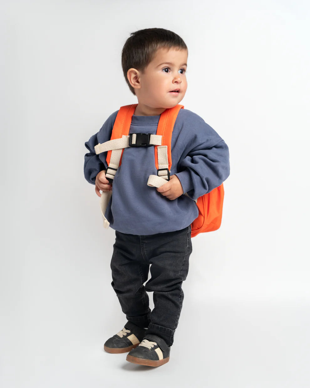 Pack Jardín Infantil Zorro GUBII